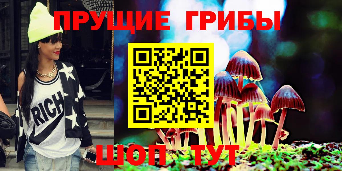 Галлюциногенные грибы Cubensis  Вход с VPN  Георгиевск  Галлюциногенные грибы мицелий 