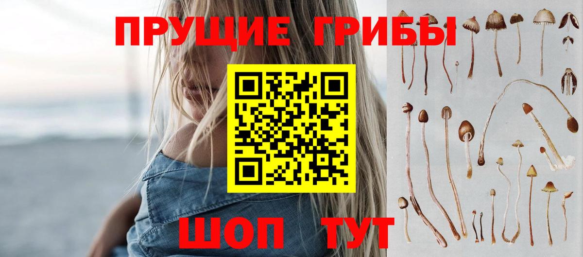 Псилоцибиновые грибы ЛСД Георгиевск