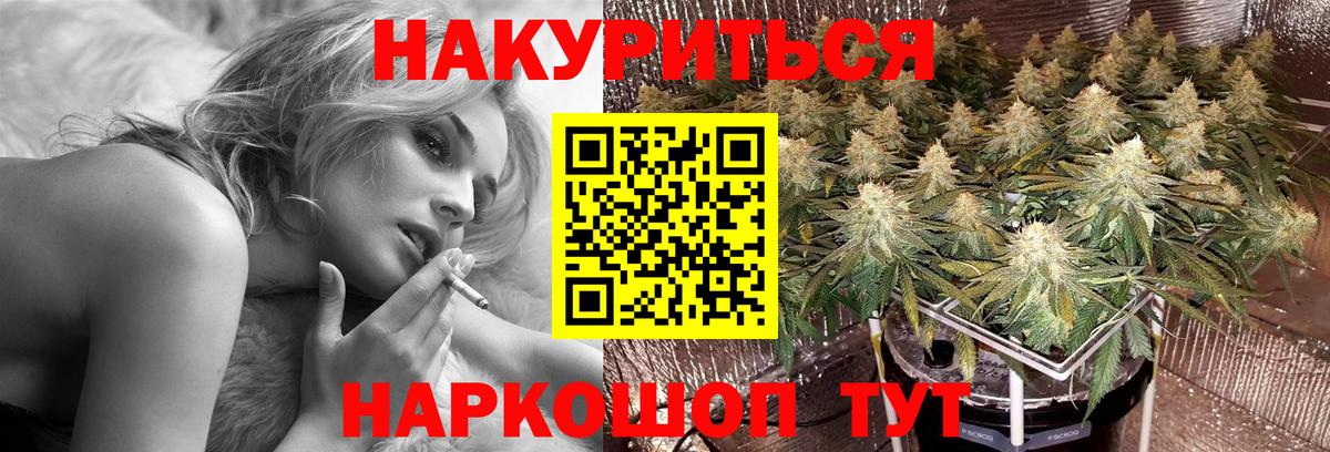 Каннабис OG Kush Георгиевск